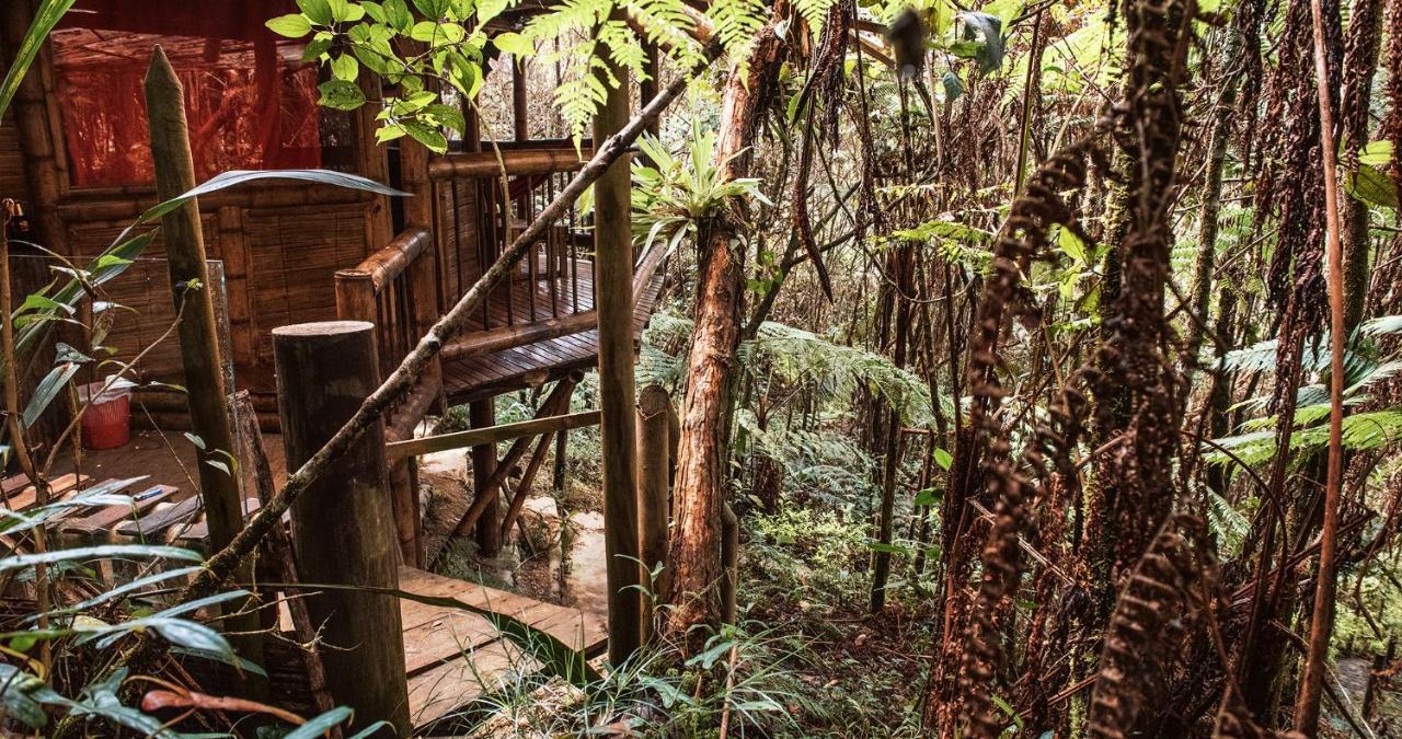Hotel Guatape Adrianas Bambu Dış mekan fotoğraf