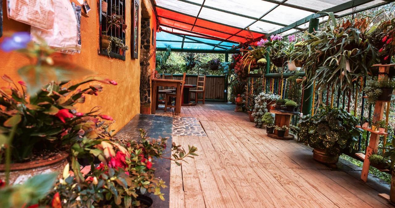 Hotel Guatape Adrianas Bambu Dış mekan fotoğraf