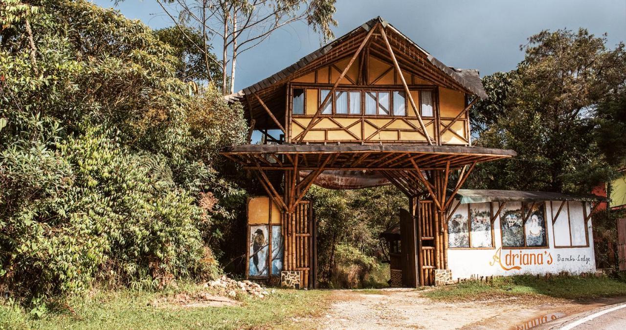 Hotel Guatape Adrianas Bambu Dış mekan fotoğraf
