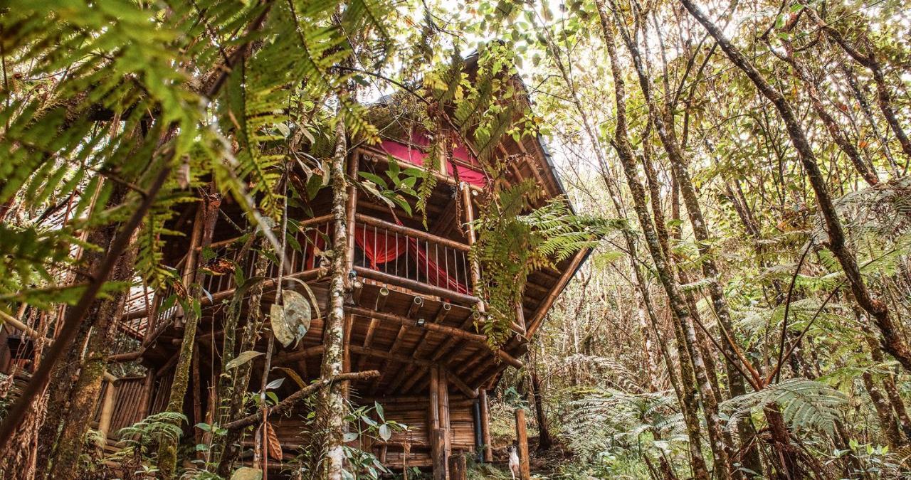 Hotel Guatape Adrianas Bambu Dış mekan fotoğraf