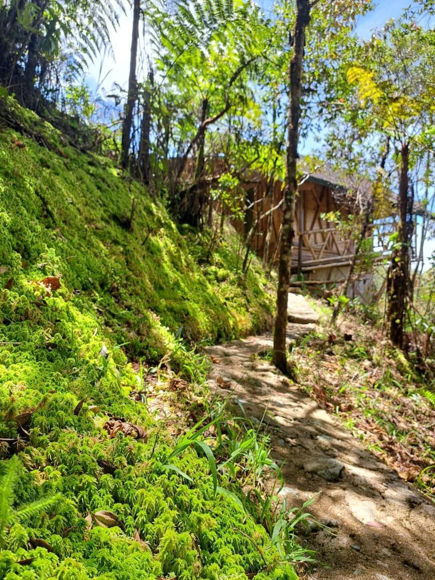 Hotel Guatape Adrianas Bambu Dış mekan fotoğraf