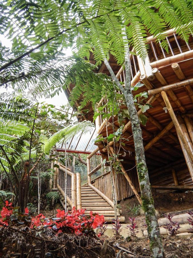 Hotel Guatape Adrianas Bambu Dış mekan fotoğraf