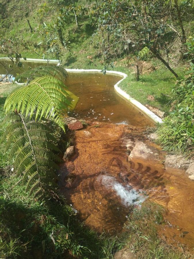 Hotel Guatape Adrianas Bambu Dış mekan fotoğraf